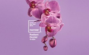 2014 Pantone Color of the Year